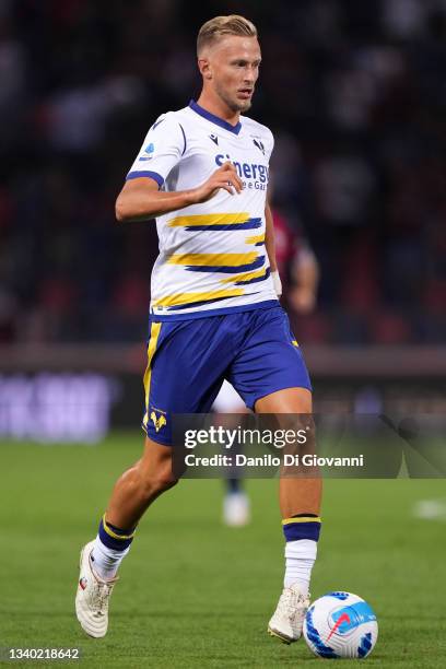 Antonín Barák of Hellas Verona in action during the Serie A match between Bologna FC and Hellas Verona FC at Stadio Renato Dall'Ara on September 13,...