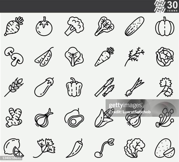 ilustraciones, imágenes clip art, dibujos animados e iconos de stock de iconos de la línea de verduras y hierbas - col