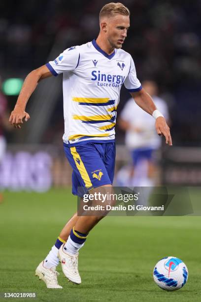 Antonín Barák of Hellas Verona in action during the Serie A match between Bologna FC and Hellas Verona FC at Stadio Renato Dall'Ara on September 13,...