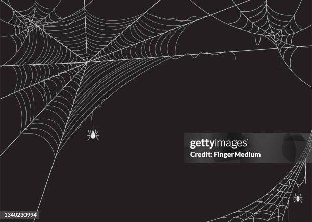 2 257点の蜘蛛の巣イラスト素材 Getty Images 2 257点の蜘蛛の巣イラスト素材 Getty Images