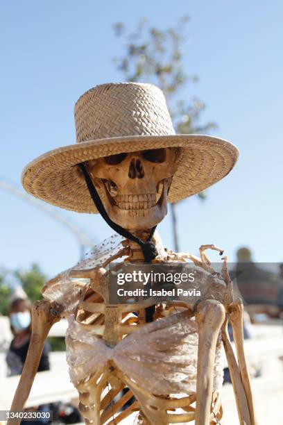 human skeleton - funny skeleton stockfoto's en -beelden