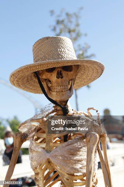 human skeleton - funny skeleton stock pictures, royalty-free photos & images