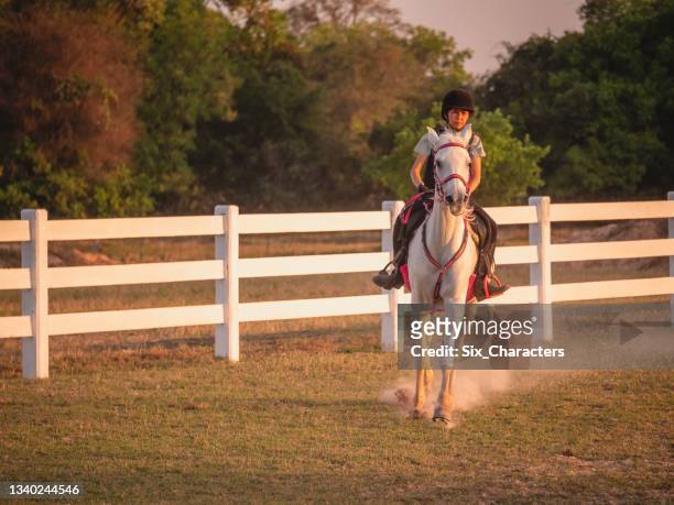 young asian girl enjoy riding horse in the farm, girl horseback riding training at the ranch - autumn steed stock pictures, royalty-free photos & images