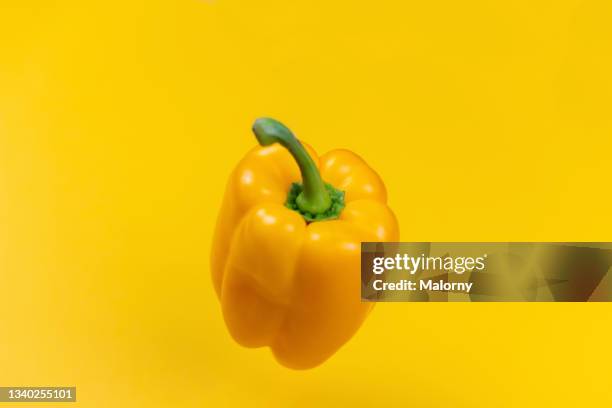 a yellow bell pepper on yellow background. - yellow bell pepper stock-fotos und bilder