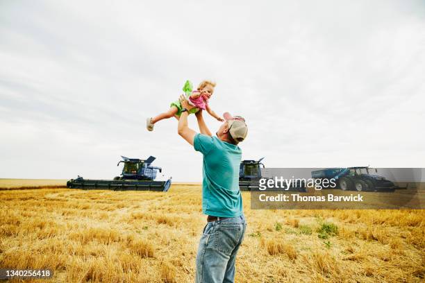 medium wide shot of farmer throwing young daughter up in air in wheat field during summer harvest - co supported stock pictures, royalty-free photos & images