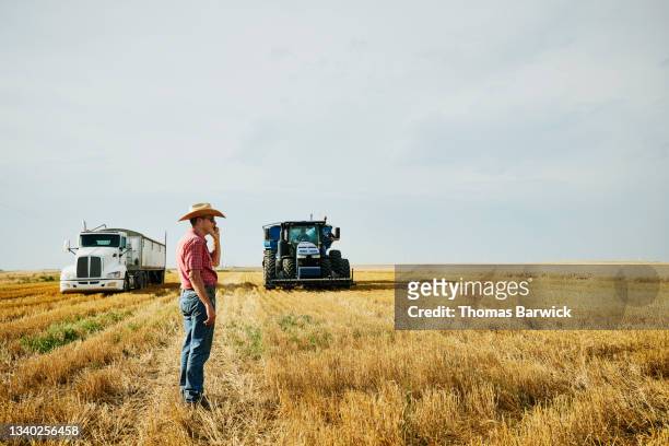 Wide shot of farmer standing in cut wheat field taking on smart phone