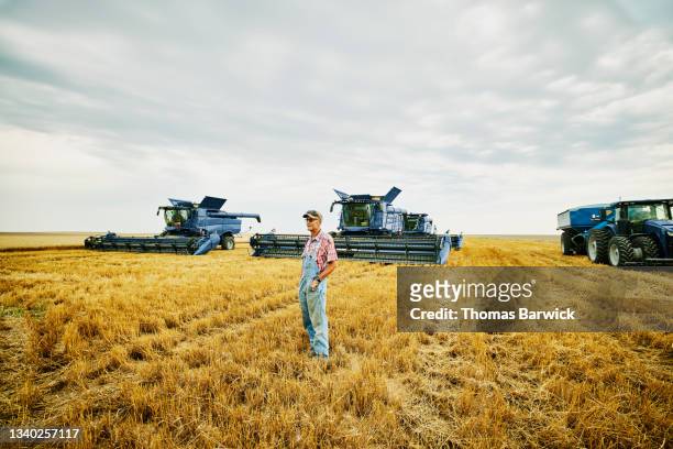 Wide shot of smiling farmer standing in cut wheat field in front of combines and tractor during summer harvest