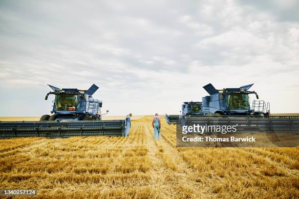 Extreme wide shot of farmer walking between combines in cut wheat field during summer harvest