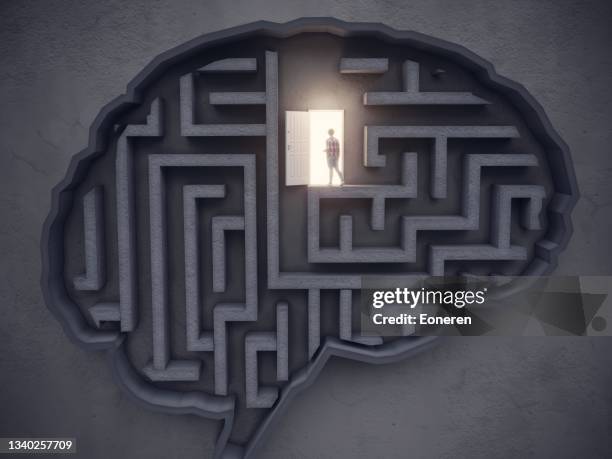 big idea concept, the woman open the door in the maze-shaped brain - beslutsamhet bildbanksfoton och bilder