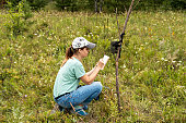 Young woman scientist zoologist writing down data from trap camera to notepad, observing wild animals in reserve taiga forest, monitoring of rare endangered animal species, World Wildlife Day