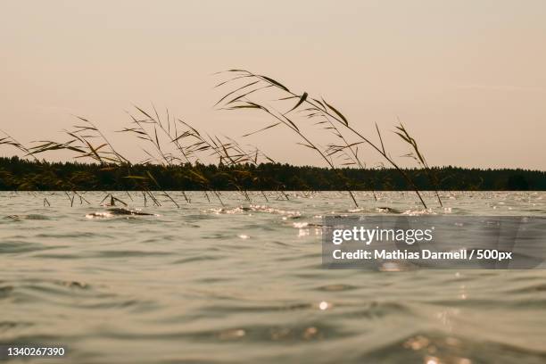 scenic view of sea against sky during sunset - darmell bildbanksfoton och bilder