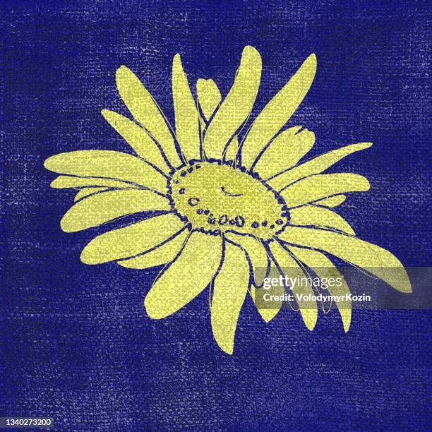 stylized chrysanthemum flower bud in square format - calendula field stock illustrations
