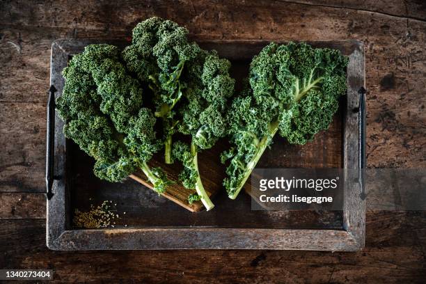 kales on a tray - kale stock pictures, royalty-free photos & images