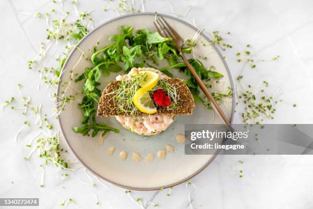 shrimps, salmon and avocado tartare - filet americain stockfoto's en -beelden