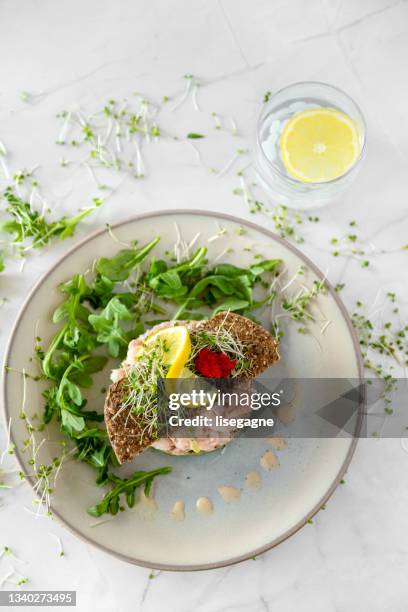 shrimps, salmon and avocado tartare - biff tartar bildbanksfoton och bilder