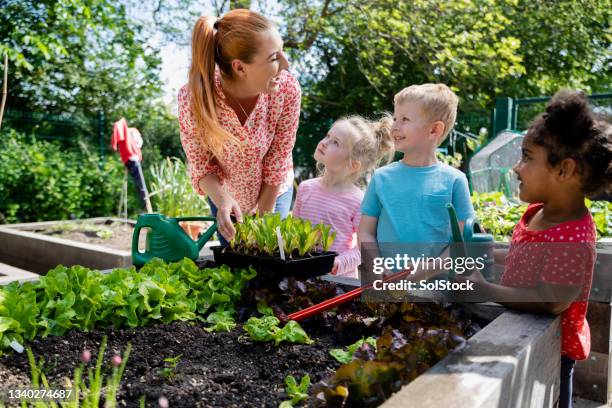 lernen im garten - children gardening stock-fotos und bilder