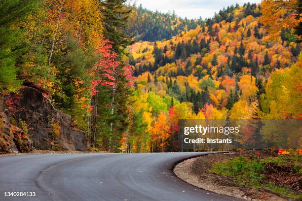 fall colors in la mauricie national park. - quebec road stock pictures, royalty-free photos & images