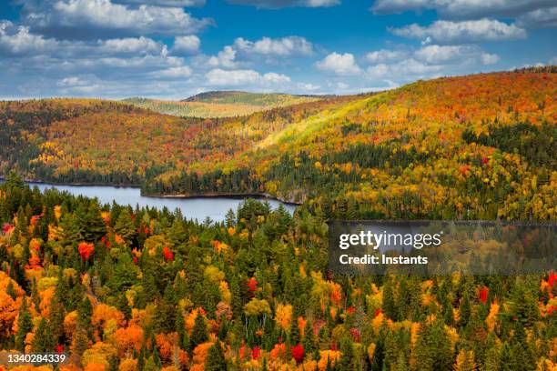 fall colors in la mauricie national park. - quebec stock pictures, royalty-free photos & images