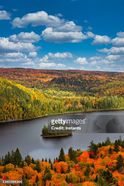 fall colors in la mauricie national park. - shawinigan 個照片及圖片檔