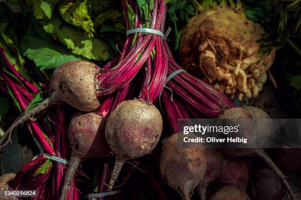 red beet roots with tops on farmer's market - beetroot stock pictures, royalty-free photos & images