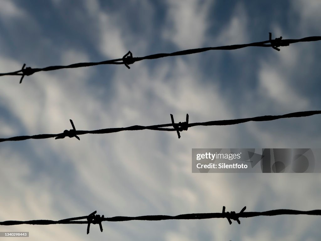 Barbed Wire and Sky