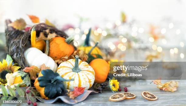 herbst füllhorn - füllhorn stock-fotos und bilder