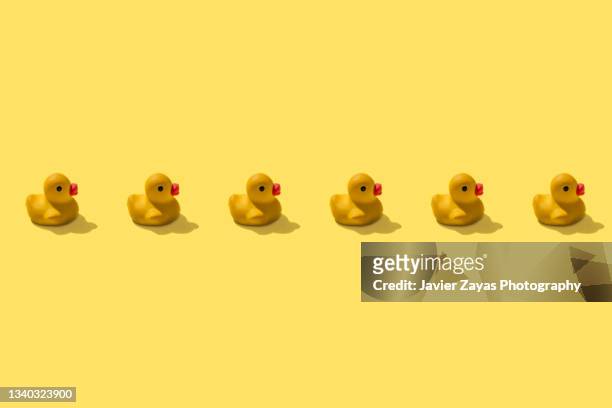 six rubber duckies in a row on yellow background - dolls ストックフォトと画像