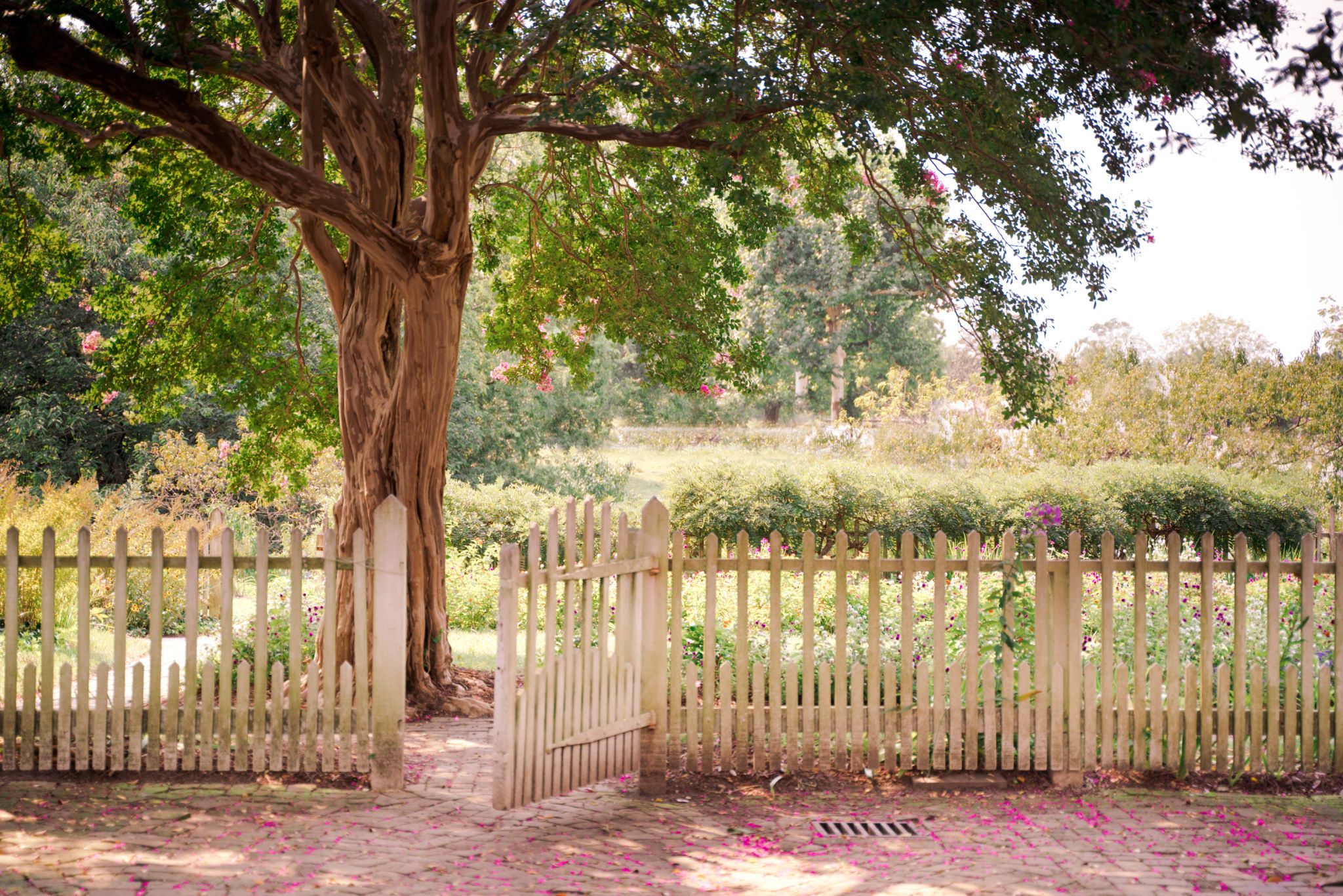 garden gate maintenance
