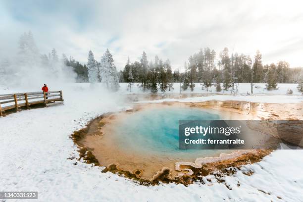 femme visitant la source chaude de yellowstone en hiver - yellowstone photos et images de collection