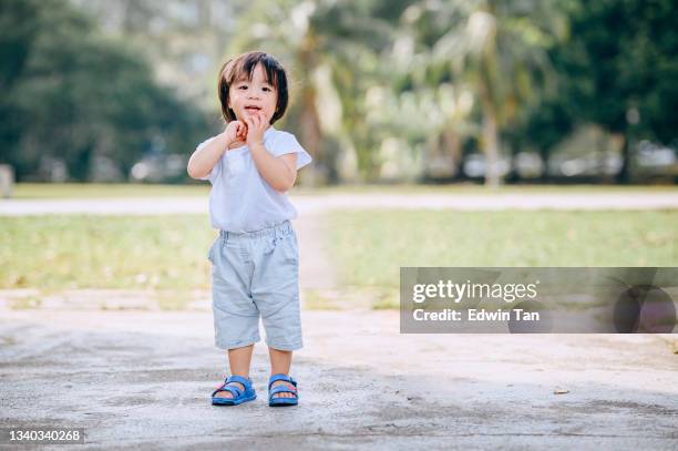 lindo bebé chino asiático mirando a la cámara en el parque público de césped - one baby boy only fotografías e imágenes de stock