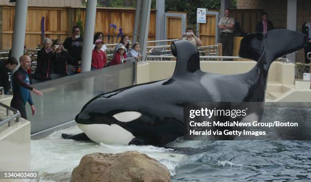 Dining with Shamu at Seaworld. .