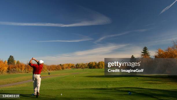 senior male golfer in autumn golf scenic - golf shirt stock pictures, royalty-free photos & images