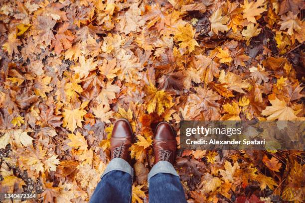 man wearing boots looking down at autumn leaves, personal perspective pov - november stock-fotos und bilder