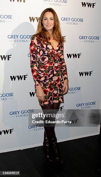 Priscila de Gustin attends Grey Goose auction photocall at A-Cero In studio on November 24, 2011 in Madrid, Spain.