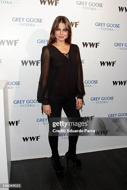 Marisa Jara attends Grey Goose auction photocall at A-Cero In studio on November 24, 2011 in Madrid, Spain.