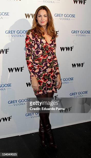 Priscila de Gustin attends Grey Goose auction photocall at A-Cero In studio on November 24, 2011 in Madrid, Spain.