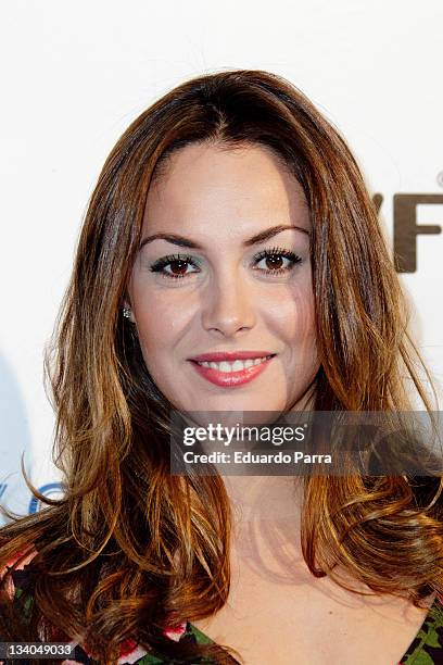 Priscila de Gustin attends Grey Goose auction photocall at A-Cero In studio on November 24, 2011 in Madrid, Spain.