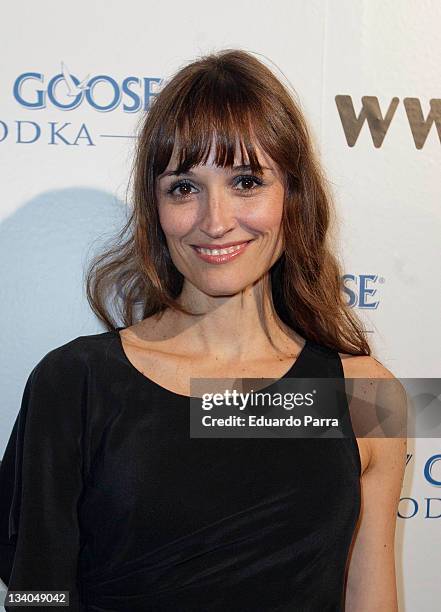 Laura Pamplona attends Grey Goose auction photocall at A-Cero In studio on November 24, 2011 in Madrid, Spain.