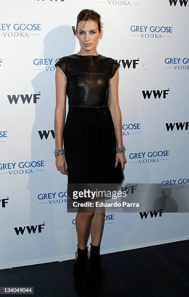 Nieves Alvarez attends Grey Goose auction photocall at A-Cero In studio on November 24, 2011 in Madrid, Spain.