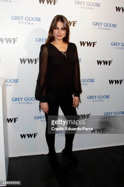 Marisa Jara attends Grey Goose auction photocall at A-Cero In studio on November 24, 2011 in Madrid, Spain.