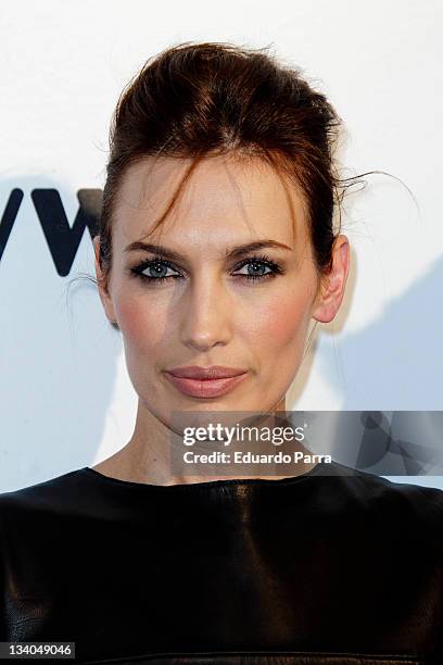 Nieves Alvarez attends Grey Goose auction photocall at A-Cero In studio on November 24, 2011 in Madrid, Spain.