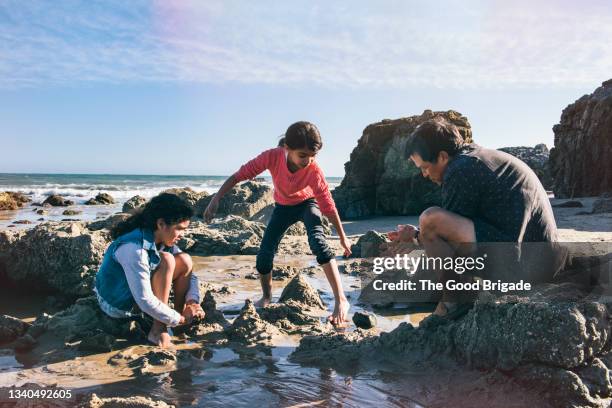 grandfather playing with granddaughters at beach - tide pool stock pictures, royalty-free photos & images