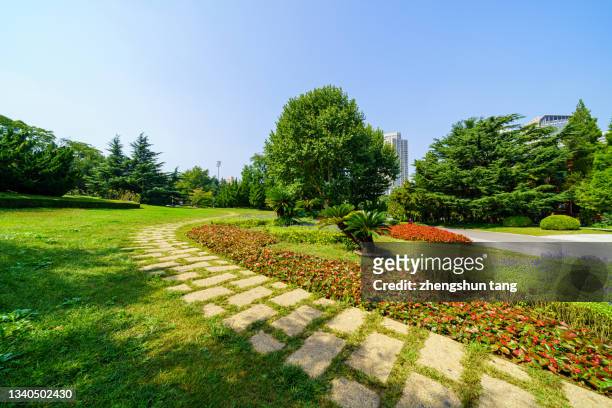 lawn and trees in the park - landscaped stock pictures, royalty-free photos & images