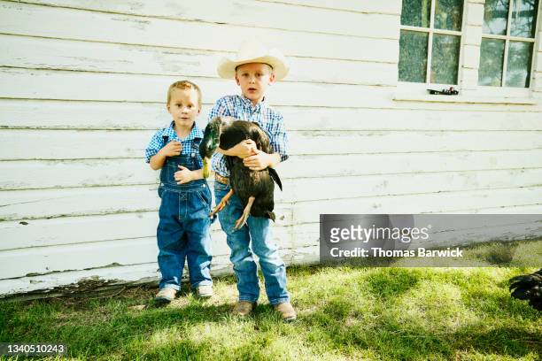 Wide shot portrait of young brothers holding duck outside of chicken coop on farm on summer morning