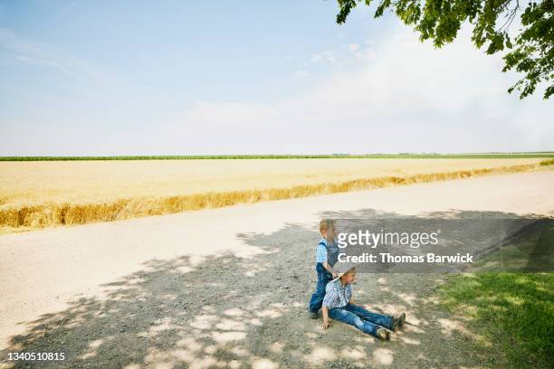 Extreme wide shot of young brothers playing in shade of tree with wheat field in background