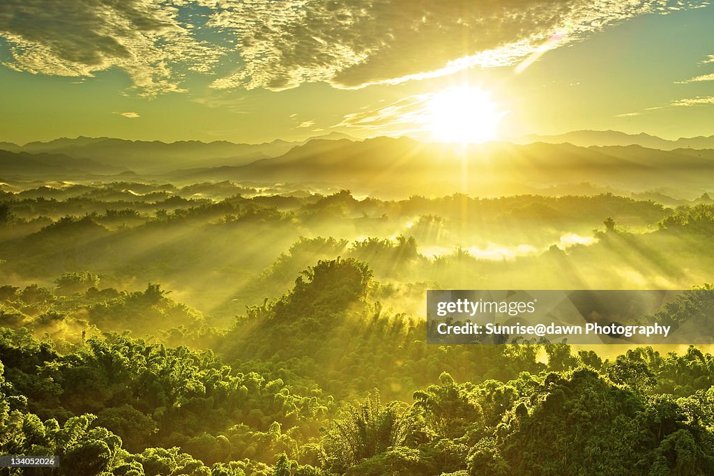 Golden sunrays