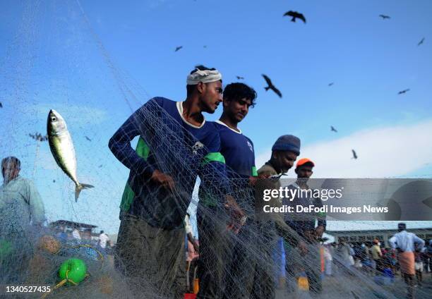 Kozhikode, India Fishermen separate the fish caught in the net at Vellayil Fishing Harbour on September 15, 2021 in Kozhikode, India. As the cases of...