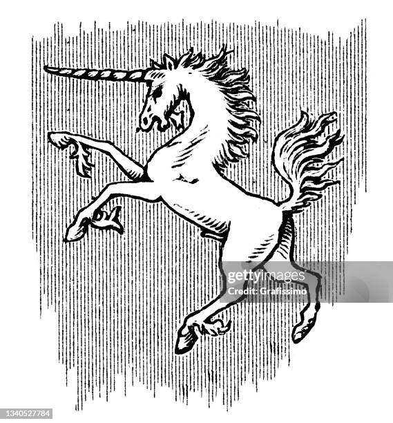 unicorn drawing 1898 - unicorn stock illustrations