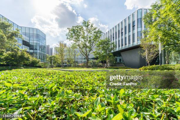 modern eco office - city park greenhouses stock pictures, royalty-free photos & images