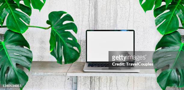 laptop computer blank screen on table in cafe background. laptop with blank screen on table of coffee shop blur background. - laptop on desk mockup stock pictures, royalty-free photos & images